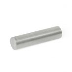 GN55.3-Raw_Magnet__Rod_Shaped.png