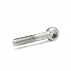 DIN444-2019-Stainless-Steel-Swing-bolts-NI-Stainless-Steel.jpg
