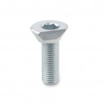 GN-418.2-Cam-point-screws-Steel.jpg