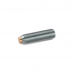 GN913.5-Grub-screws-with-brass-plastic-pivot-Stainless-Steel-MS-Brass.jpg