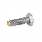 GN933.5-Hexagon-head-screws-Stainless-Steel-MS-Brass-pivot.jpg